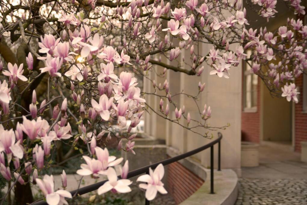 Elegant Apartment In The City Center Wroclaw Exterior photo